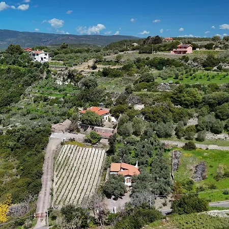 아파트 Welcomely - Badde Nuraghe Dimora Vista Mare Con Parcheggio Privato *