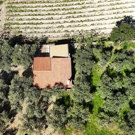 Welcomely - Badde Nuraghe Dimora Vista Mare Con Parcheggio Privato